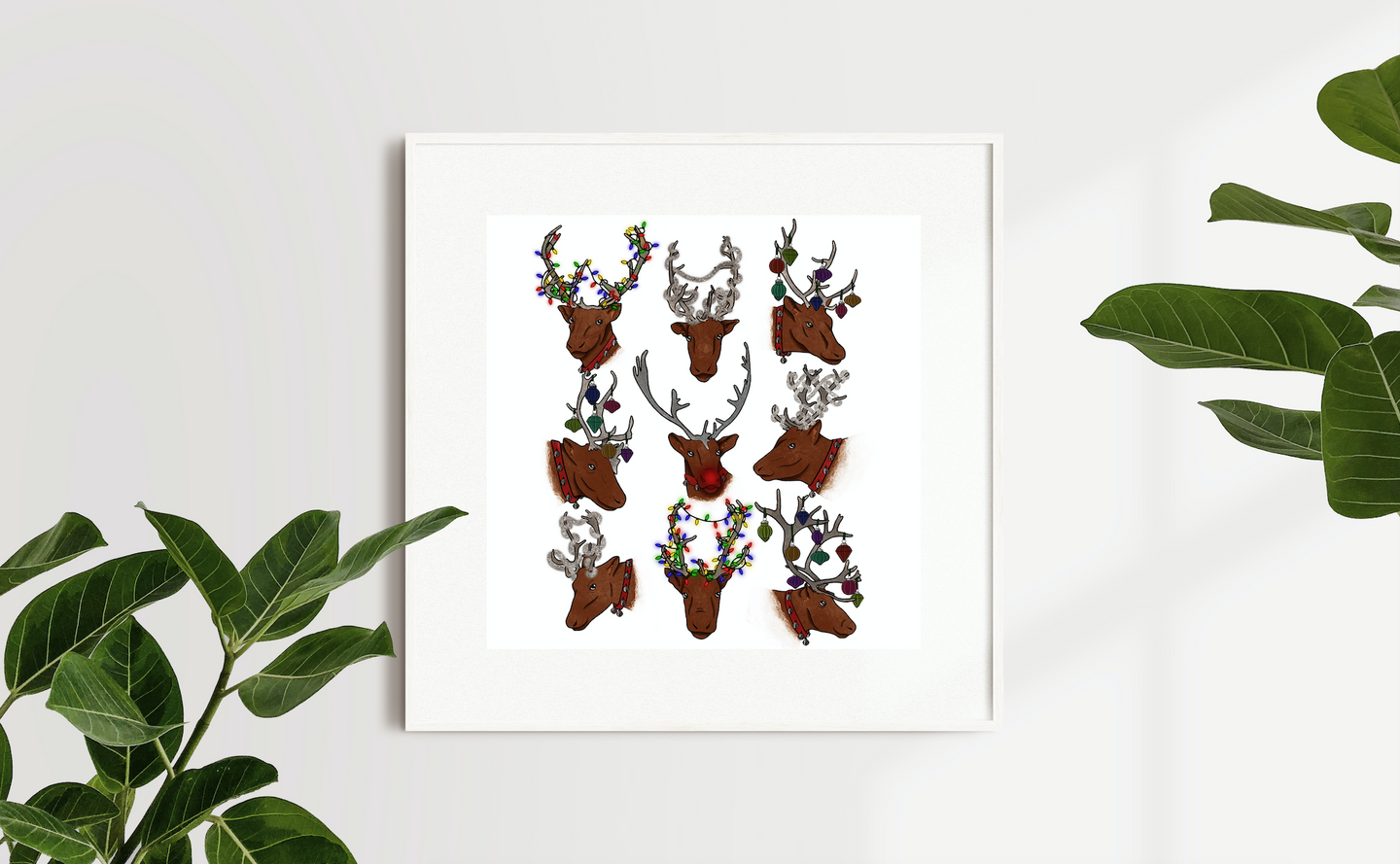 Reindeer